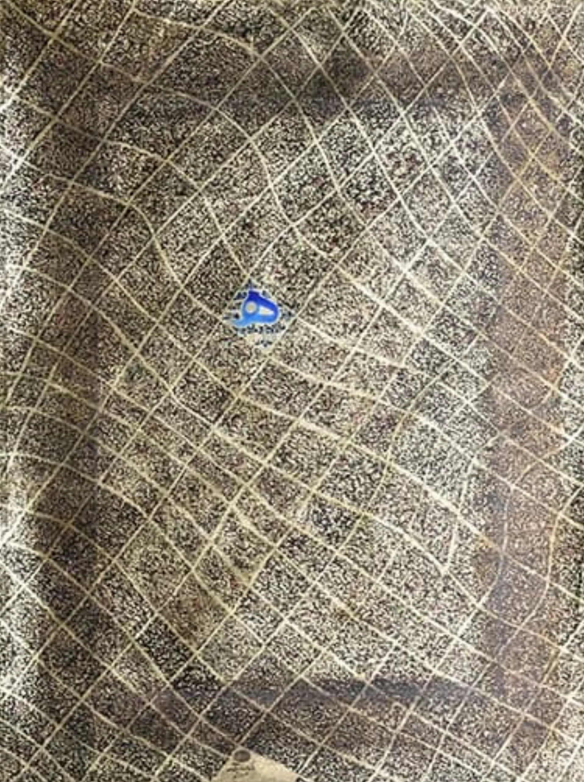 Tableau Mi-ombre (2017) de Mahmoud Zendehroudi (Zende), adjugé par Tirgan Gala Toronto.